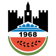 https://img.czsytgc.com/img/football/team/3389c10323340806a65f2469c82d1393.png