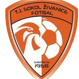 https://img.czsytgc.com/img/football/team/5477d301041e00b2de35d5eeea2fabb4.png