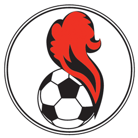 https://img.czsytgc.com/img/football/team/5541e5015258ae82b121480f4164267d.png