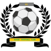 https://img.czsytgc.com/img/football/team/6dc6d59af2f0962597b412473a6708ee.png