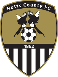 https://img.czsytgc.com/img/football/team/9e230c89a846b9cadf91884918fa7611.png