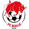 https://img.czsytgc.com/img/football/team/b201265fa89720bf8cd8ef95549a4738.png