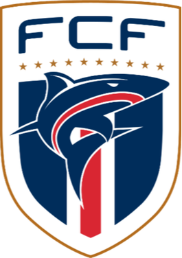 https://img.czsytgc.com/img/football/team/b78fbb9123ed9633ac77215960a8a7b3.png