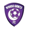 https://img.czsytgc.com/img/football/team/c5a548d374c3bb29f1190bf670442c90.png